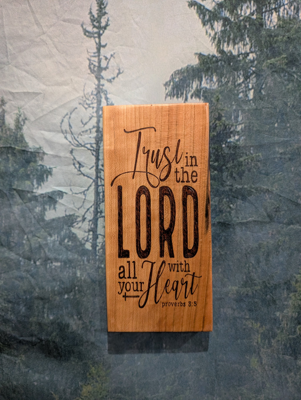 Trust The Lord Proverbs 3:5