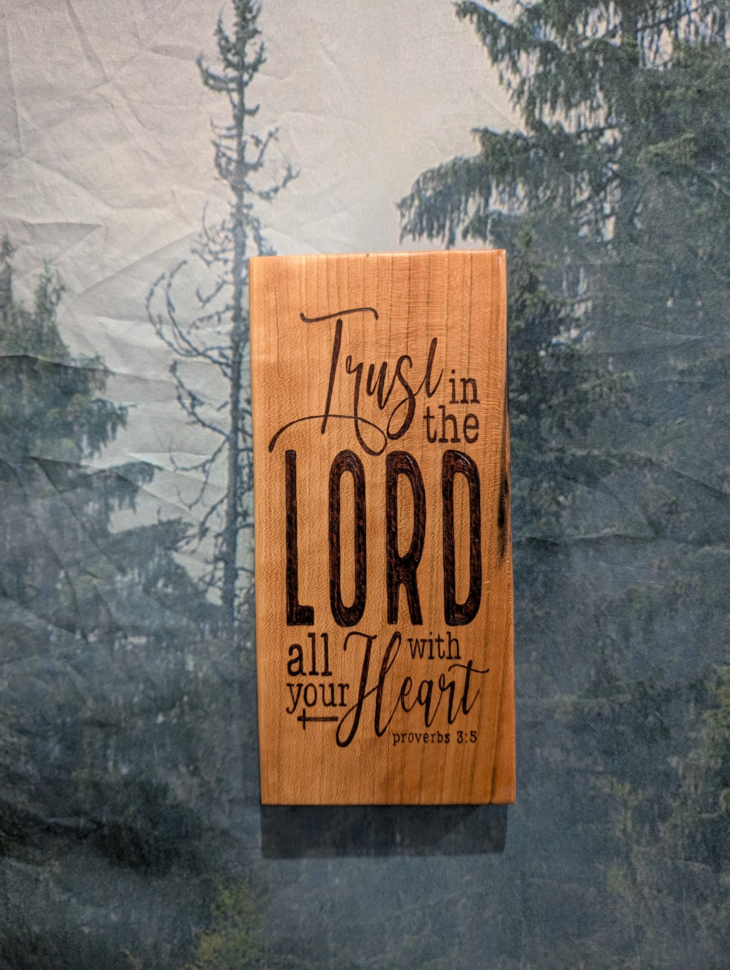 Trust The Lord Proverbs 3:5