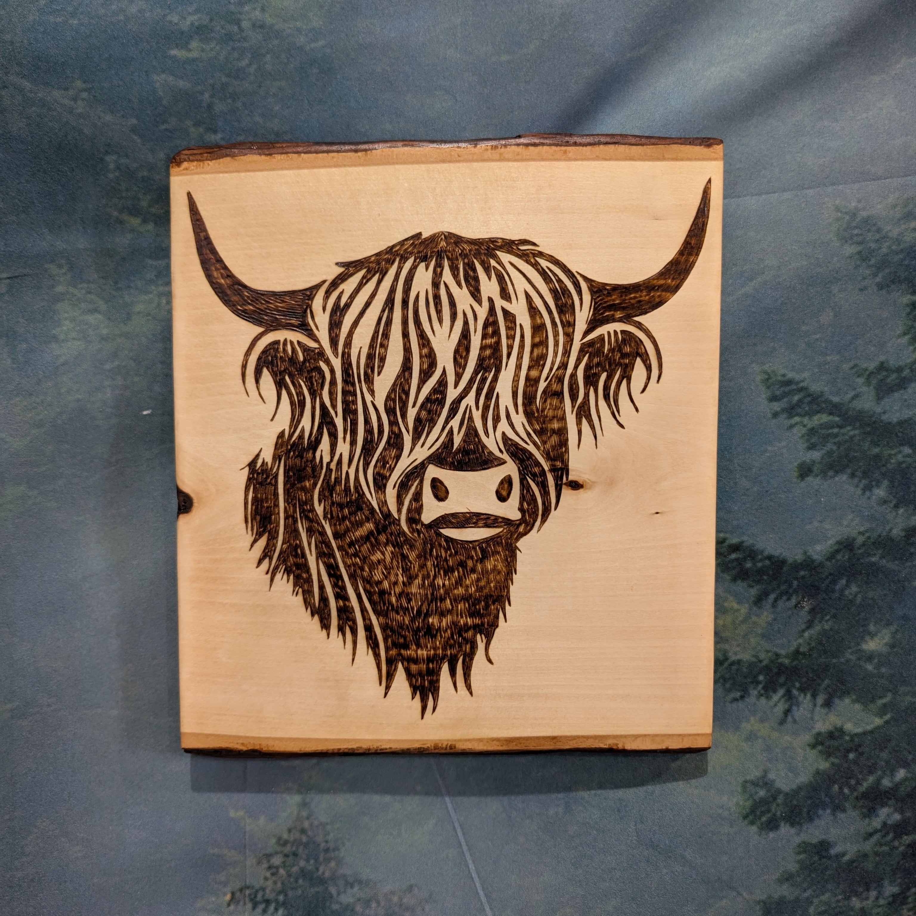 Highland Cow Wall Art - 8x9" Basswood Live Edge